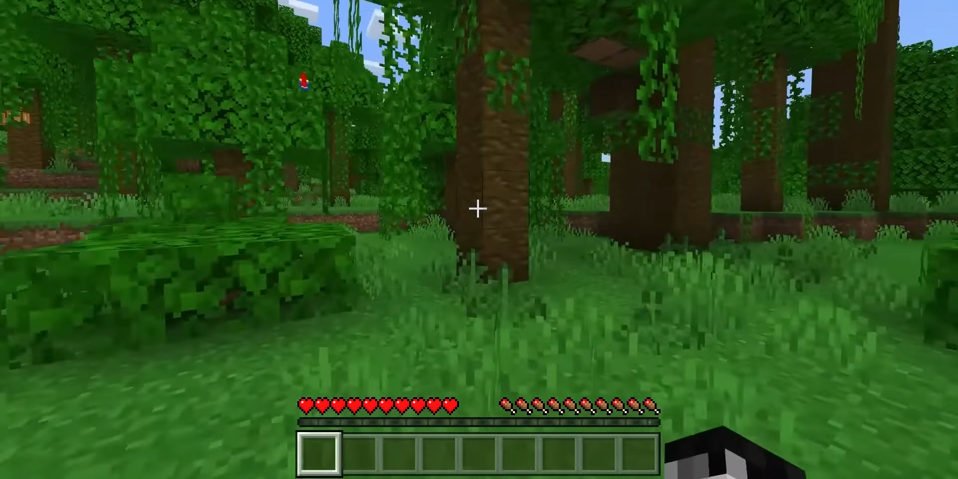 Screenshot of a jungle biome in Minecraft.